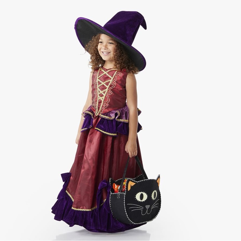 Pottery Barn Kids Vintage Witch Costume, 3T